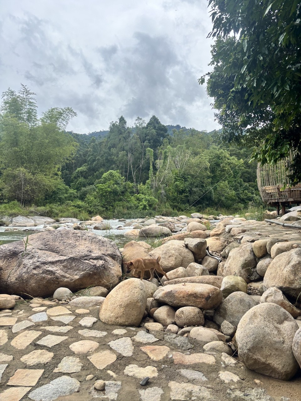 Природа Hon Ba Valley Вьетнам