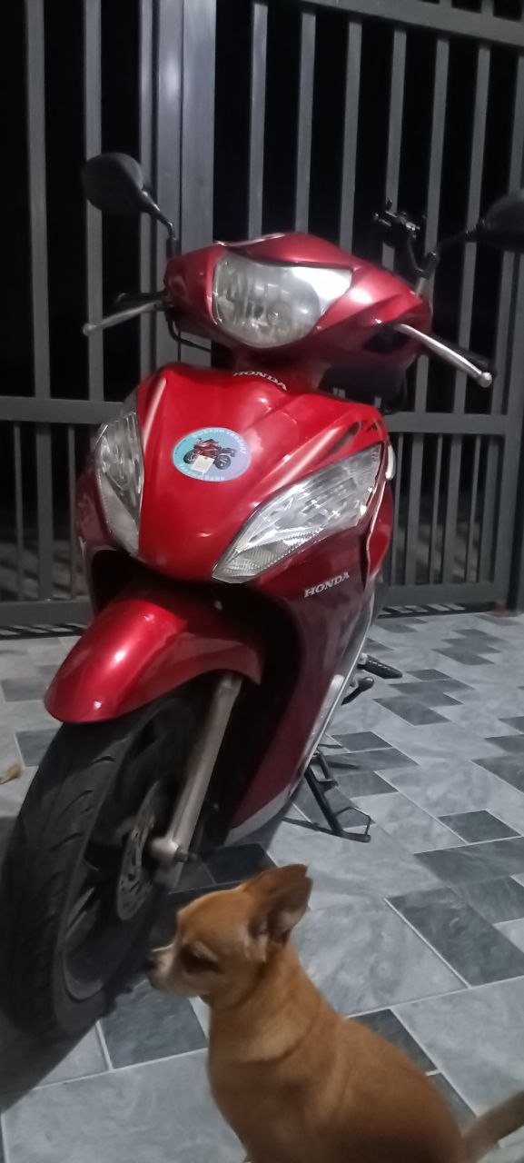 Honda Vision